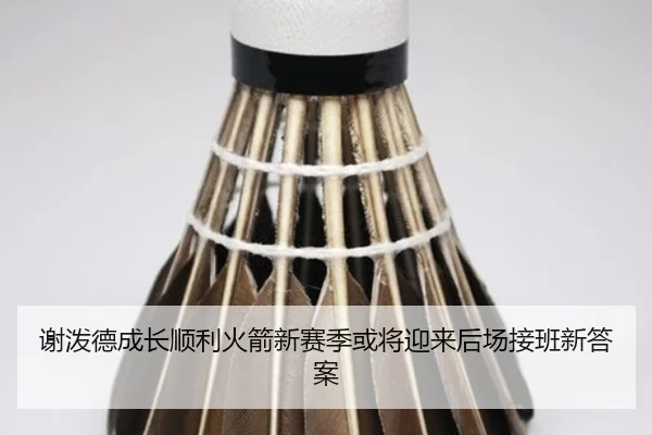 谢泼德成长顺利火箭新赛季或将迎来后场接班新答案 | aoa.conapp